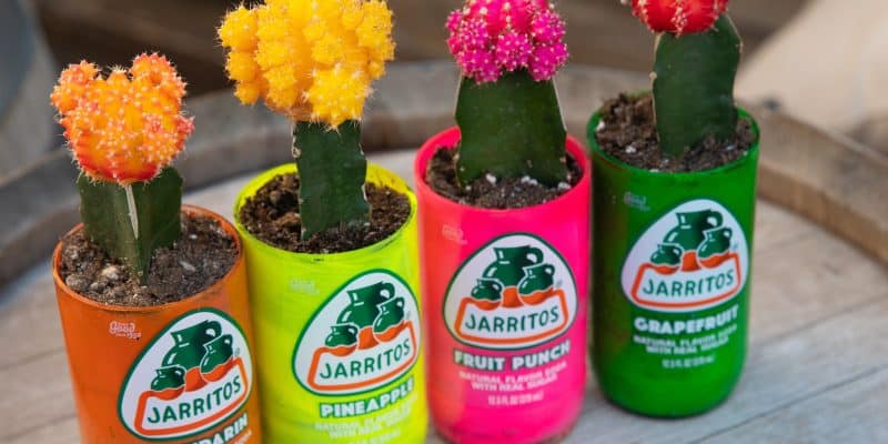 DIY Decor: Transformeer Je Huis met Deze Eenvoudige Projecten!